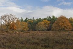 Herfst-Full-Color